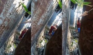 Desi Indian Latest Viral Video