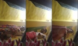 Desi Indian Latest Viral Video